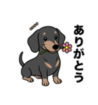 名前入りダックススムースブラックタン（個別スタンプ：3）