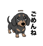 名前入りダックススムースブラックタン（個別スタンプ：4）