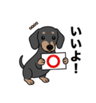 名前入りダックススムースブラックタン（個別スタンプ：5）