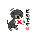 名前入りダックススムースブラックタン（個別スタンプ：6）