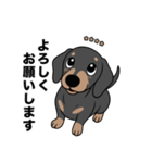 名前入りダックススムースブラックタン（個別スタンプ：7）