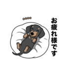 名前入りダックススムースブラックタン（個別スタンプ：8）