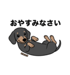 名前入りダックススムースブラックタン（個別スタンプ：9）