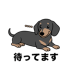 名前入りダックススムースブラックタン（個別スタンプ：10）