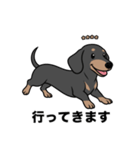 名前入りダックススムースブラックタン（個別スタンプ：11）