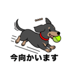 名前入りダックススムースブラックタン（個別スタンプ：14）