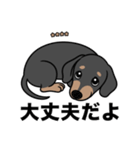 名前入りダックススムースブラックタン（個別スタンプ：15）