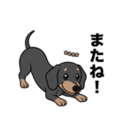 名前入りダックススムースブラックタン（個別スタンプ：16）