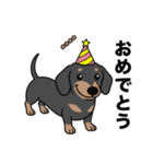 名前入りダックススムースブラックタン（個別スタンプ：17）