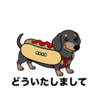 名前入りダックススムースブラックタン（個別スタンプ：18）