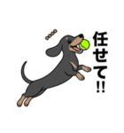 名前入りダックススムースブラックタン（個別スタンプ：20）