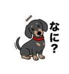 名前入りダックススムースブラックタン（個別スタンプ：21）