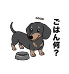 名前入りダックススムースブラックタン（個別スタンプ：22）