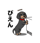 名前入りダックススムースブラックタン（個別スタンプ：23）