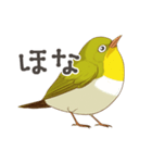 少し圧のあるメジロスタンプ（野鳥）（個別スタンプ：4）