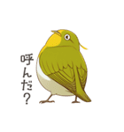 少し圧のあるメジロスタンプ（野鳥）（個別スタンプ：5）