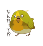 少し圧のあるメジロスタンプ（野鳥）（個別スタンプ：6）