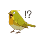 少し圧のあるメジロスタンプ（野鳥）（個別スタンプ：8）