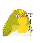 少し圧のあるメジロスタンプ（野鳥）（個別スタンプ：9）