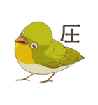 少し圧のあるメジロスタンプ（野鳥）（個別スタンプ：10）