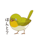 少し圧のあるメジロスタンプ（野鳥）（個別スタンプ：11）