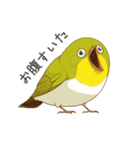 少し圧のあるメジロスタンプ（野鳥）（個別スタンプ：12）