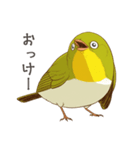 少し圧のあるメジロスタンプ（野鳥）（個別スタンプ：14）