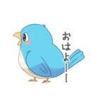 ゆるくてかわいい幸せの青い鳥スタンプ（個別スタンプ：1）