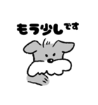 ゆるミニチュアシュナウザー（個別スタンプ：15）