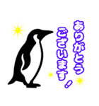 肯定ペンギン★介護・応援★デカ文字★（個別スタンプ：36）