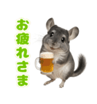 チンチラのまんま（個別スタンプ：5）