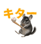 チンチラのまんま（個別スタンプ：22）