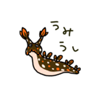 たのしいウミウシスタンプ（個別スタンプ：11）
