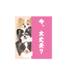 動く♪マリン♡シエル♡ルナ2（個別スタンプ：3）