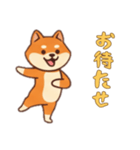 シバ犬さんと一緒の日常（個別スタンプ：4）