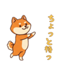 シバ犬さんと一緒の日常（個別スタンプ：11）