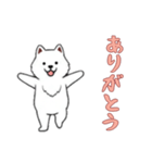 サモエドと一緒の日常（個別スタンプ：3）