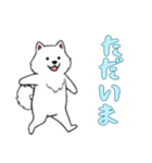サモエドと一緒の日常（個別スタンプ：5）