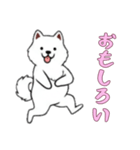 サモエドと一緒の日常（個別スタンプ：6）