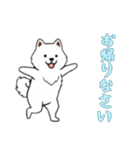 サモエドと一緒の日常（個別スタンプ：7）