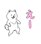 サモエドと一緒の日常（個別スタンプ：8）