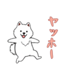 サモエドと一緒の日常（個別スタンプ：9）