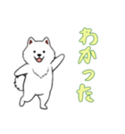 サモエドと一緒の日常（個別スタンプ：10）