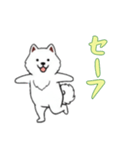 サモエドと一緒の日常（個別スタンプ：12）