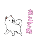 サモエドと一緒の日常（個別スタンプ：14）