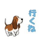 バセットハウンドと一緒の日常（個別スタンプ：1）