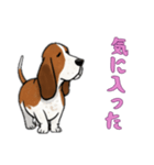 バセットハウンドと一緒の日常（個別スタンプ：2）