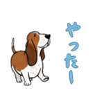 バセットハウンドと一緒の日常（個別スタンプ：3）