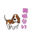 バセットハウンドと一緒の日常（個別スタンプ：4）