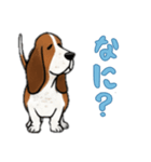 バセットハウンドと一緒の日常（個別スタンプ：5）